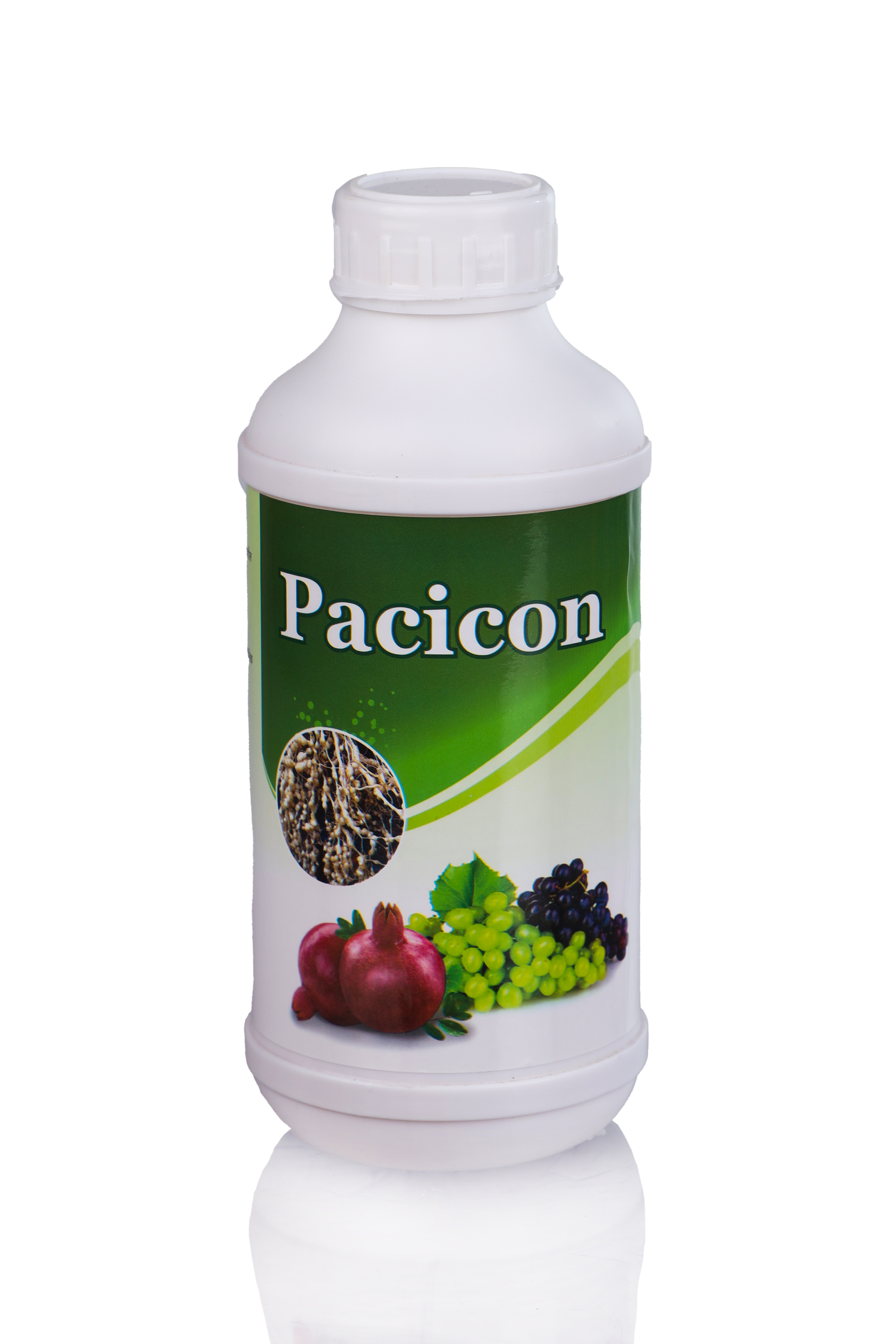 PACICON